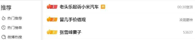 20人老头乐公司起诉小米汽车,把网友们CPU干冒烟了……