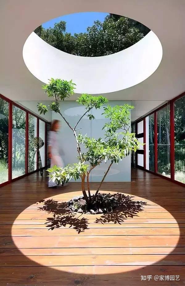 家博园艺|在室内与自然相遇——关于室内空间造景 - 知乎