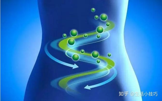 腸功能紊亂能夠用益生菌調理嗎你知道益生菌到底是什麼嗎