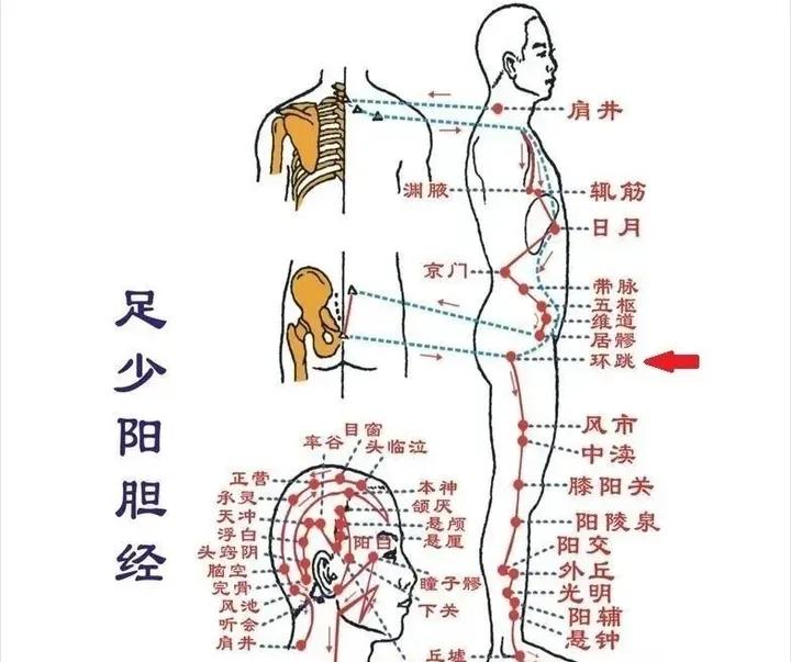 v2-da7e2736755734f4c5e314ba38afef69_1440w.jpg?source=172ae18b