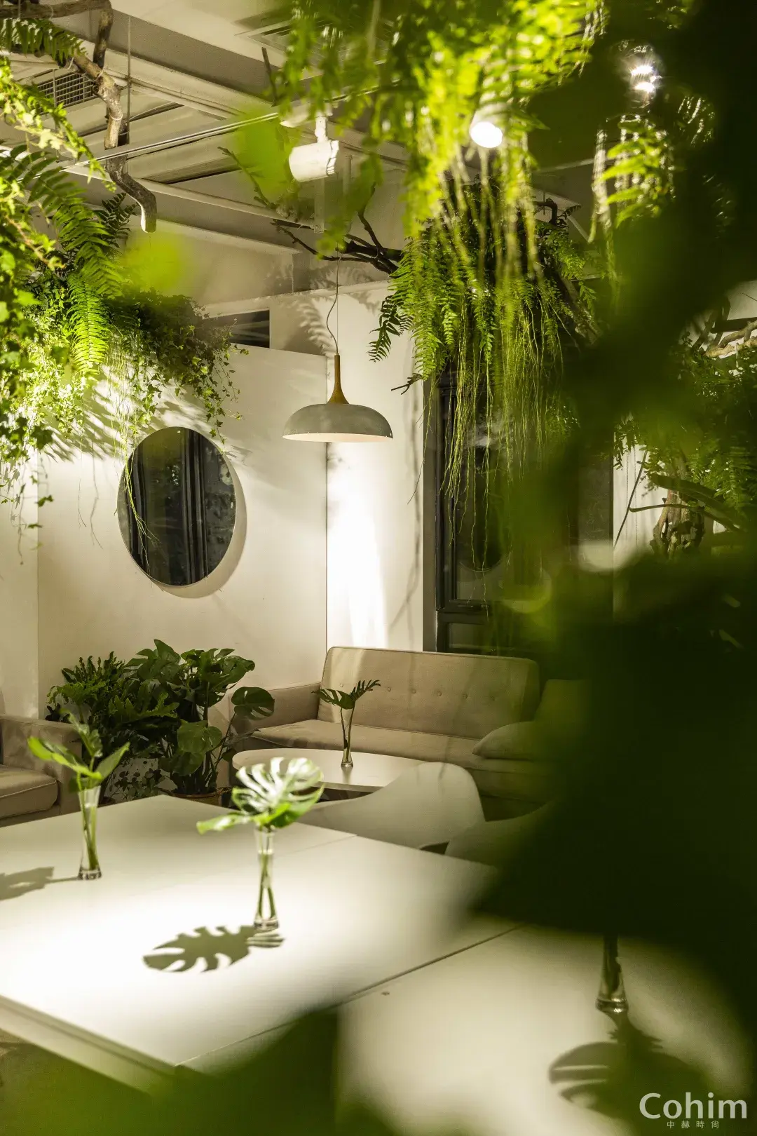 空间花艺绿植造景设计何以成为花植行业新贵