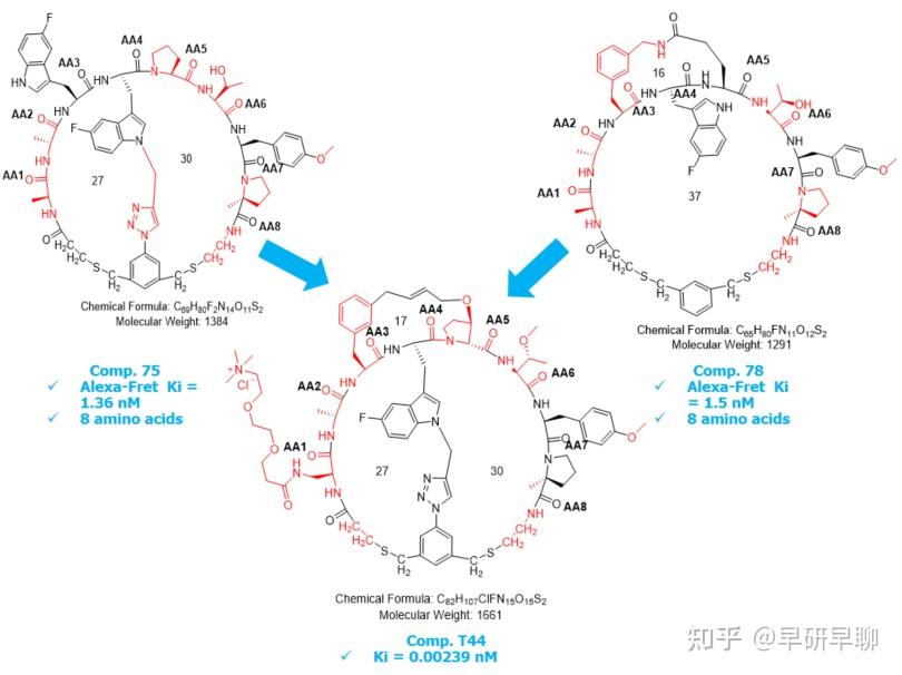 口服降血脂pcsk9抑制剂大环肽mk0616发现之旅