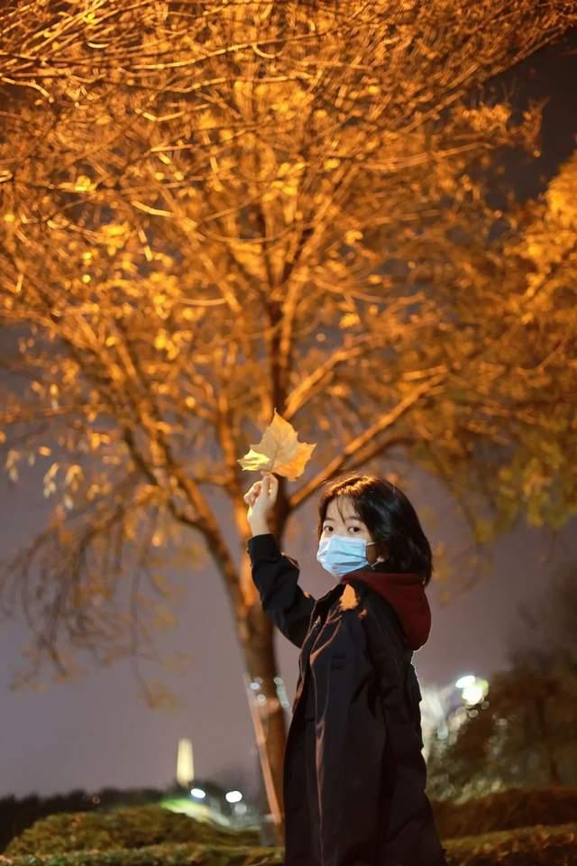 落叶的位置，谱出一首诗 - 知乎