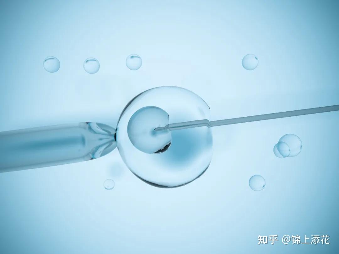 试管胚胎移植后怎么正确保胎效果才最好？ - 知乎