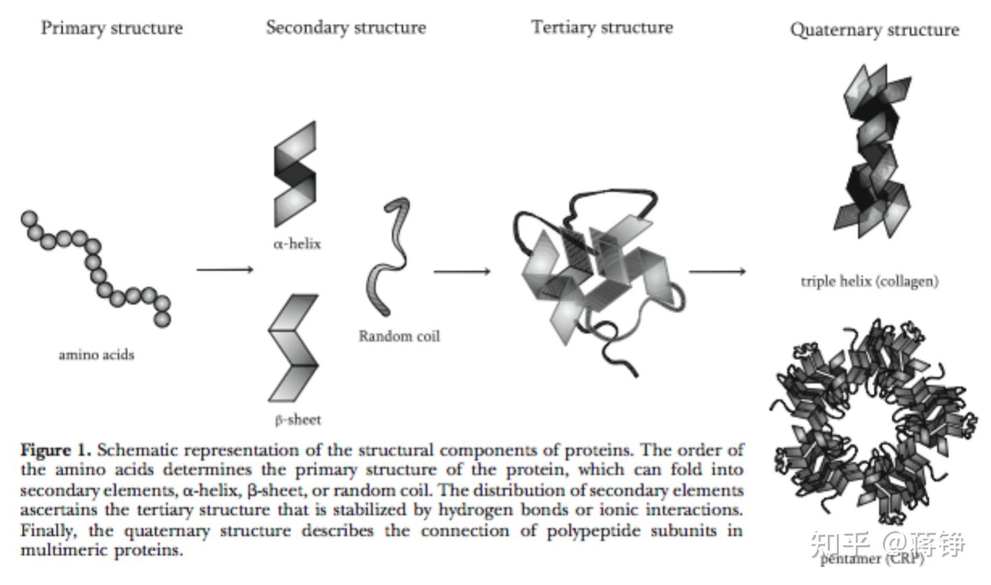 笔记】脑蛋白内稳态（2）自由能- 知乎