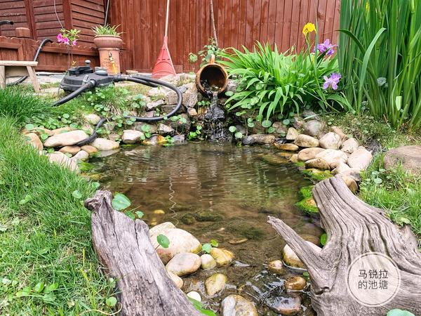 最初设计的小池塘,是在地势较高处的一个跌水池,然后通过一条 50cm 的