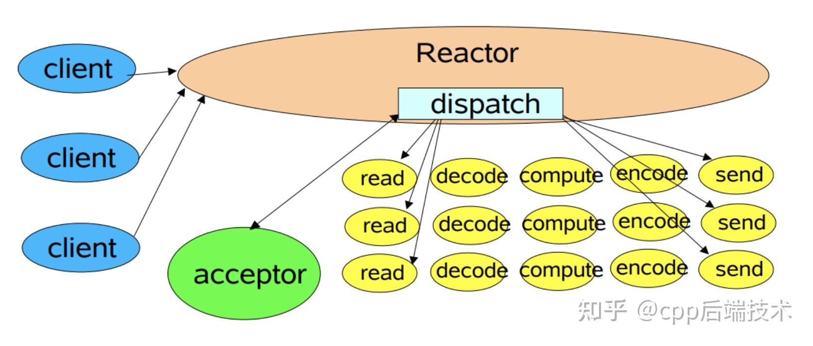 高性能网络编程之 Reactor 网络模型（彻底搞懂） - 知乎