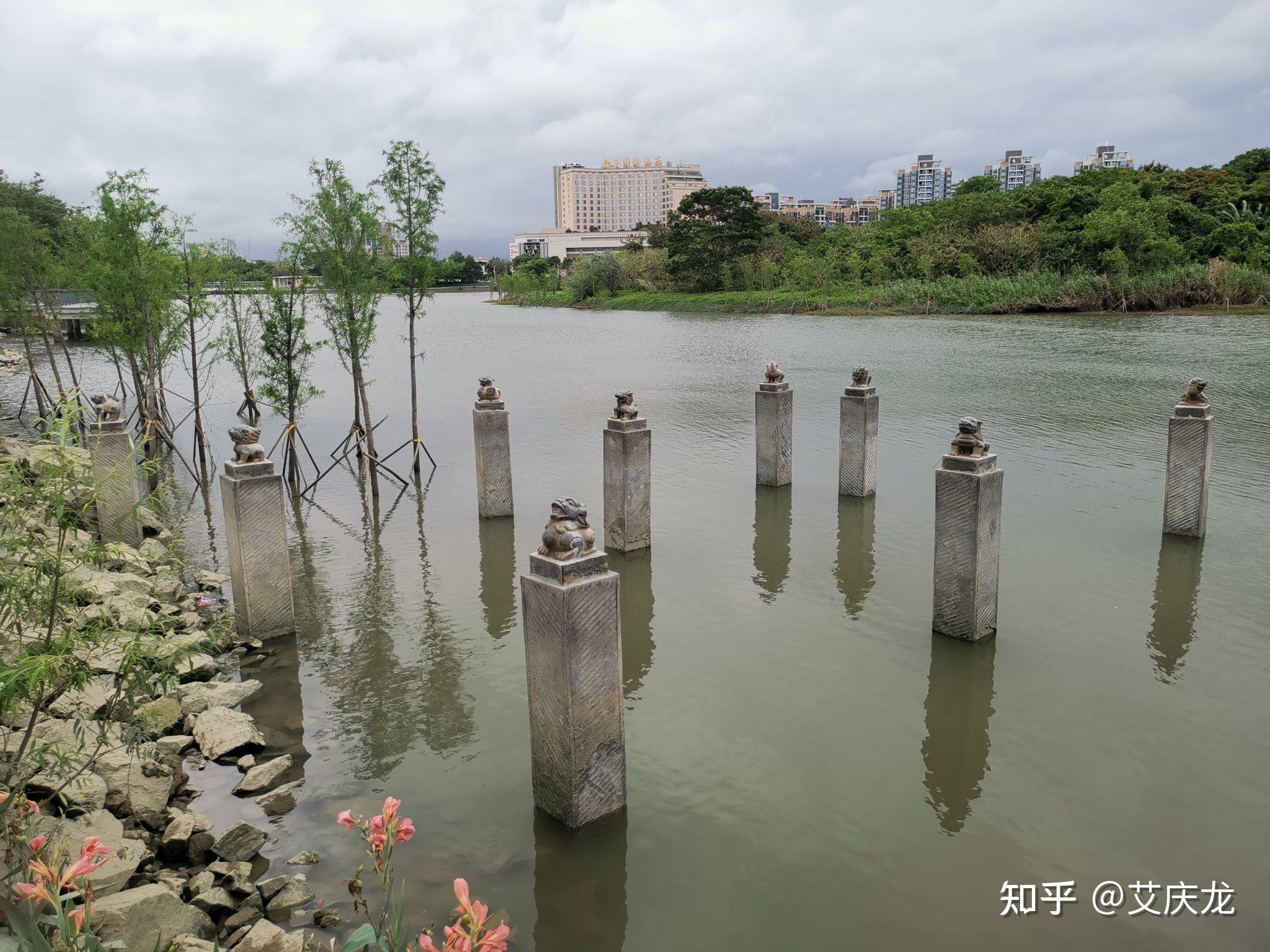 休闲娱乐好去处,东莞龙湾湿地乐跑公园