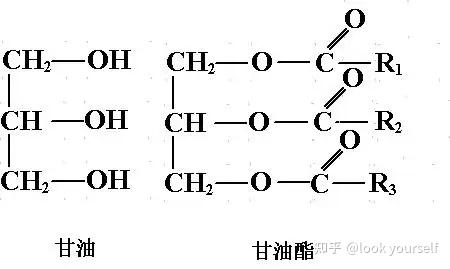 甘油三脂(triglyceride)分子结构