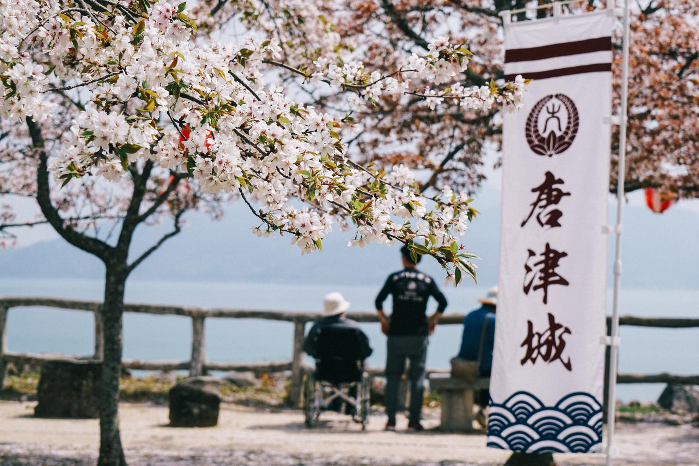 唐津 白色天守下的海边小城 用粉色的樱花装点春天 知乎 唐津 白色天守下的海边小城 用粉色的樱花装点春天 知乎