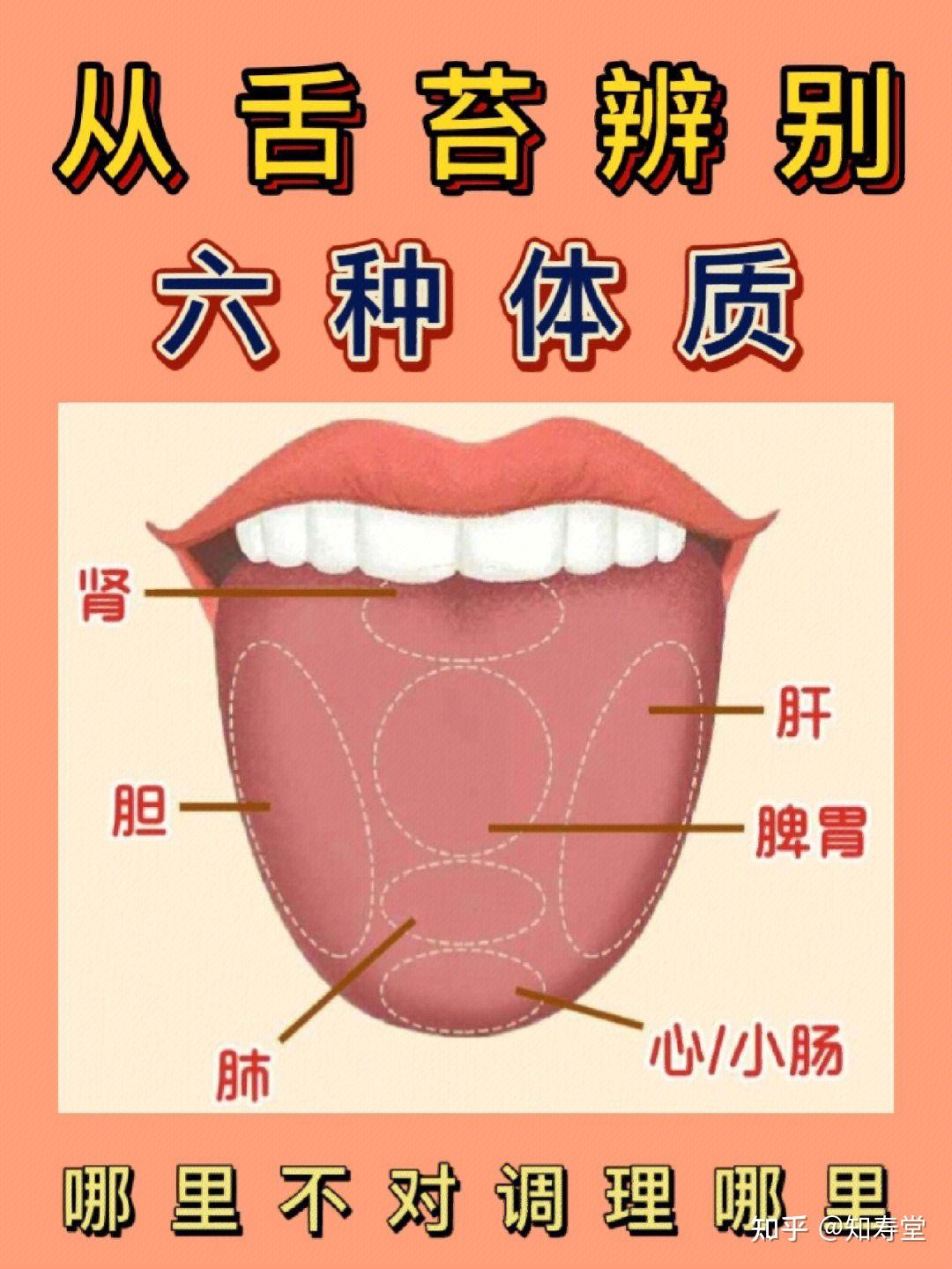 教你看舌苔，六种情况帮你分辨体质 - 哔哩哔哩