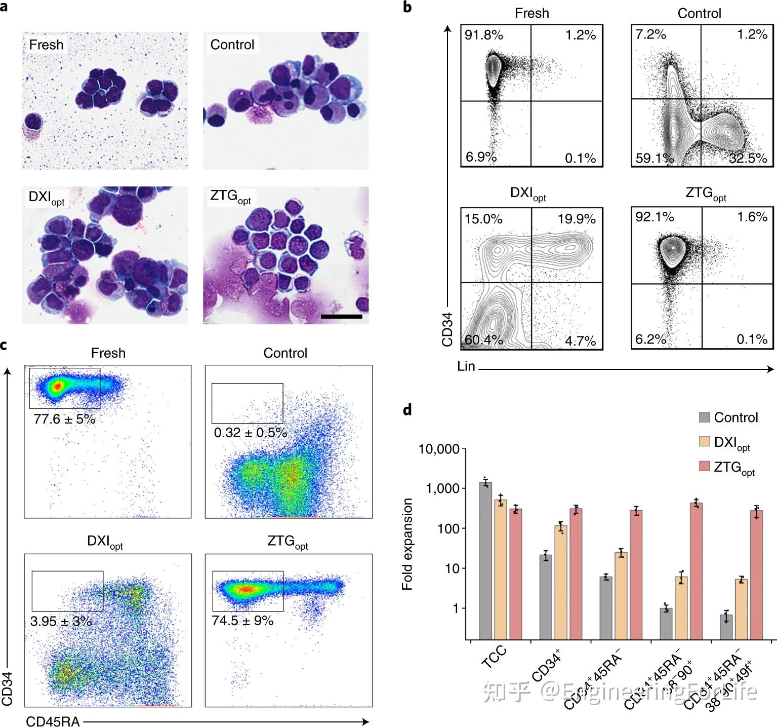 naturemedicine两性离子水凝胶可有效扩增人类造血干细胞
