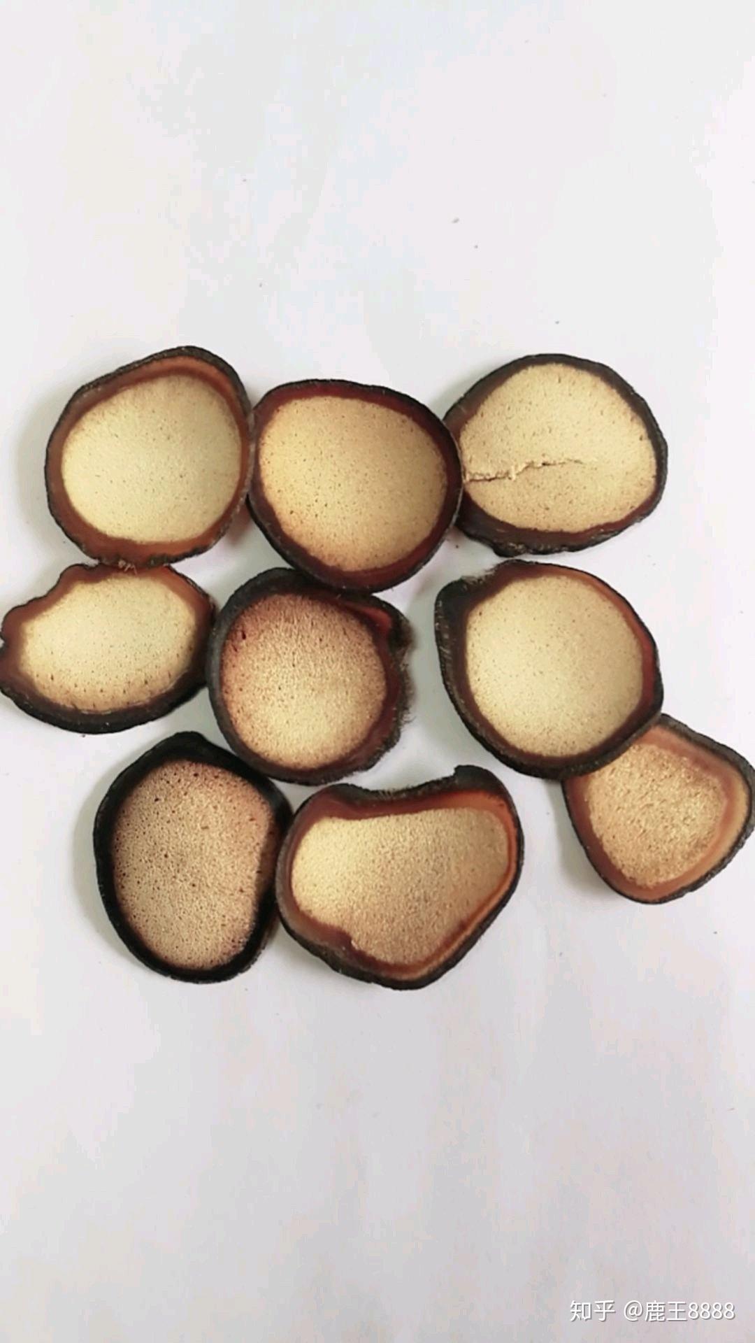 《药典》收录的药用鹿茸是指梅花鹿茸和马鹿茸 - 知乎