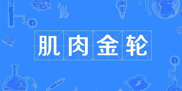 肌肉金轮怎么换脸肌肉金轮视频怎么制作 知乎 肌肉金轮怎么换脸肌肉金轮视频怎么制作 知乎