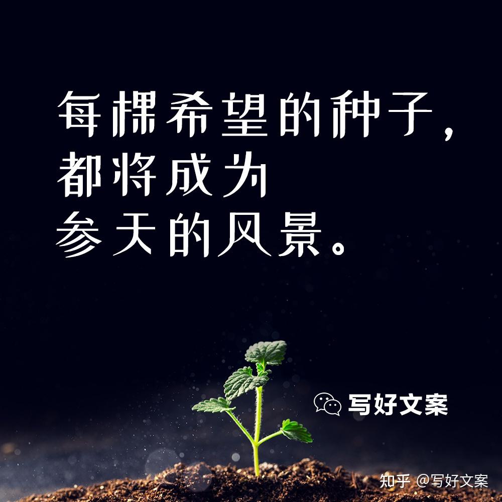 植树节朋友圈说说图片