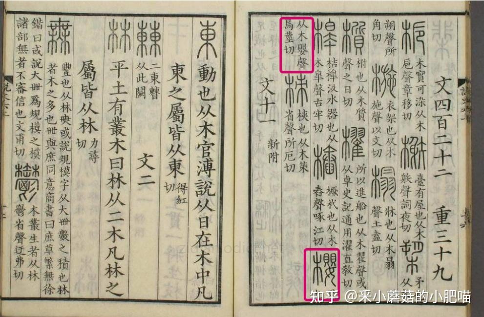 樱花真的起源于中国 并由唐朝时期传入日本吗