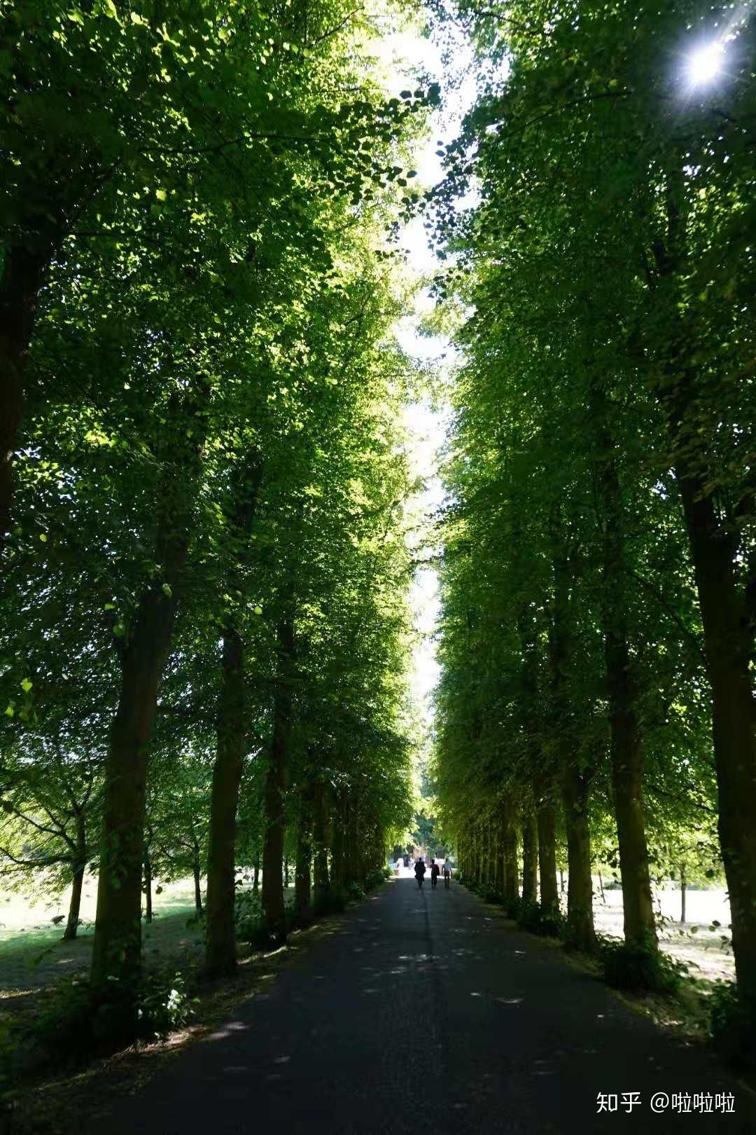 英國旅行筆記陰雨連綿的日子與陽光明媚的記憶