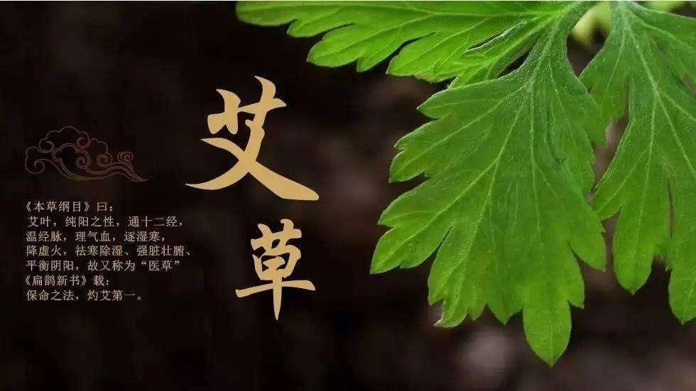 艾草的功效(艾草的功效和作用泡脚的好处与禁忌)