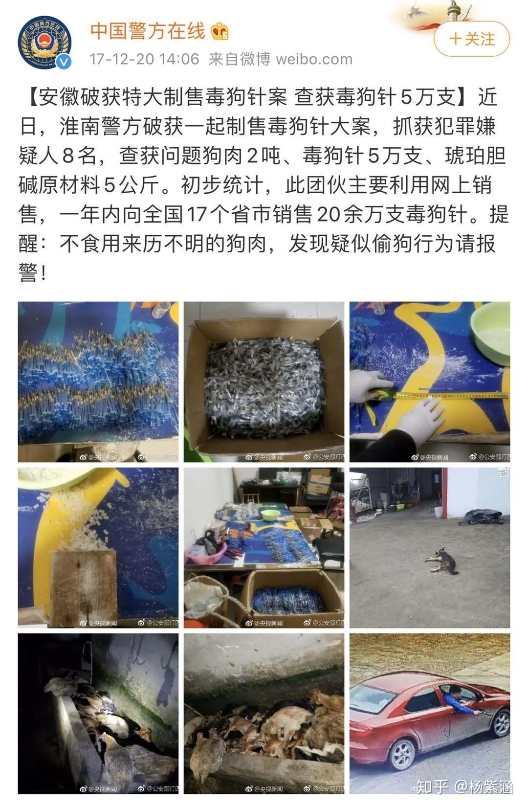 为什么突然消失的原因不论是狗还是人,都因为这毒针在一分钟内死亡