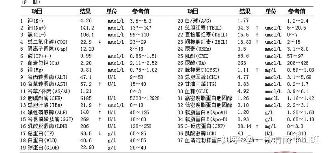 什么是真正的中医？