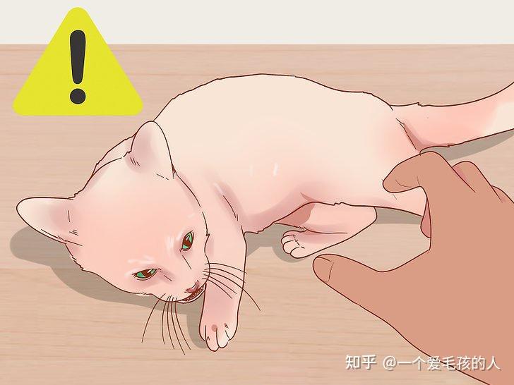 嘶声竭力什么意思 v2-db3a81ff736635504352680fe82cf93d_r.jpg