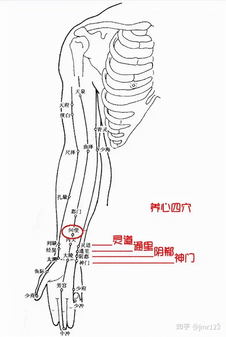 心肝宝贝奖门人大雪节气常揉身体这5处赶走疾病身体好