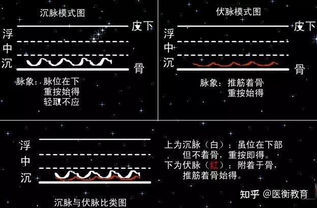 脉诊竟如此神奇！！跟着中医学脉诊（附动画图） - 知乎