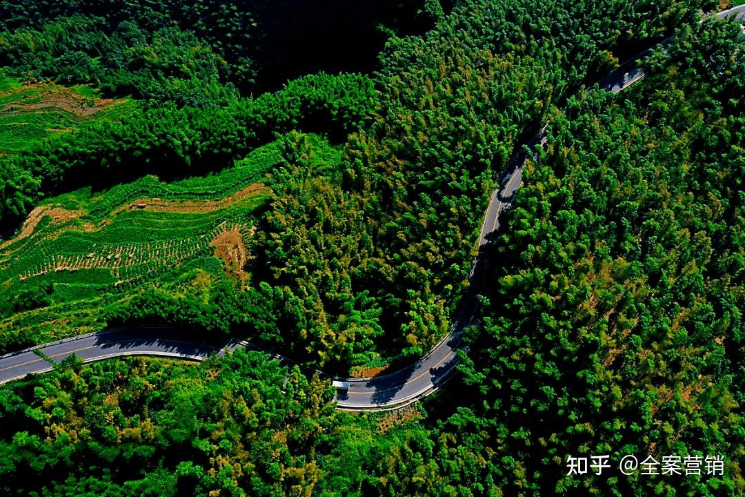 除了仙雲峰度假區仙峰還有許多優美景色仙峰山,起雲峰觀景臺方竹示範