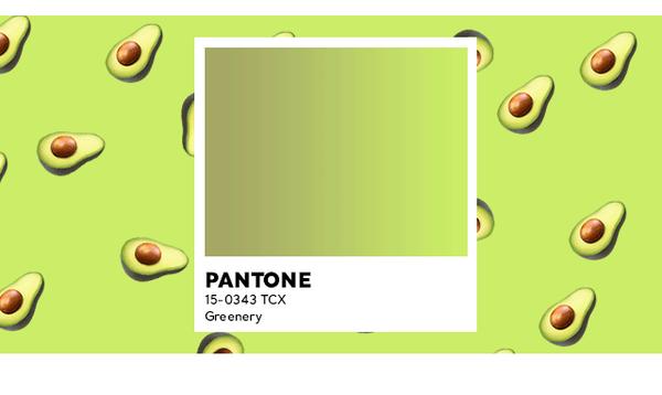 没有荧光色那样刺眼,又比普通的绿色更加浓郁,看上去有一种"奶油果酱"