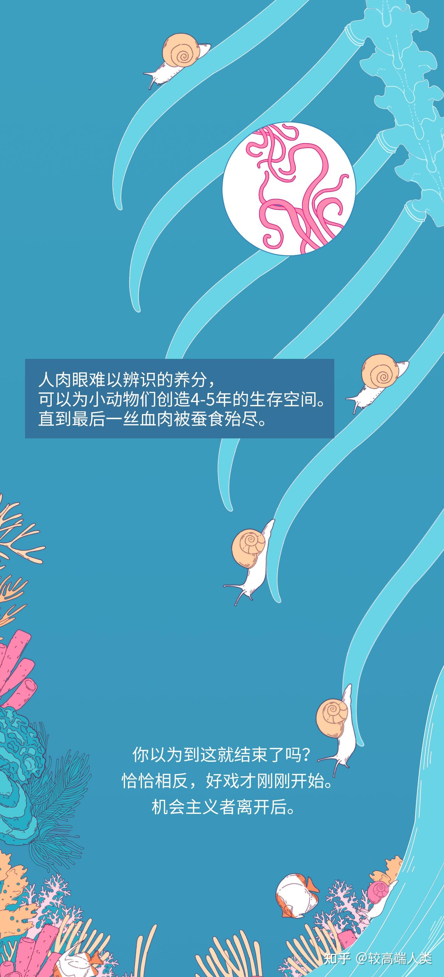 不久前，我目睹了世上最悲壮的死亡- 知乎