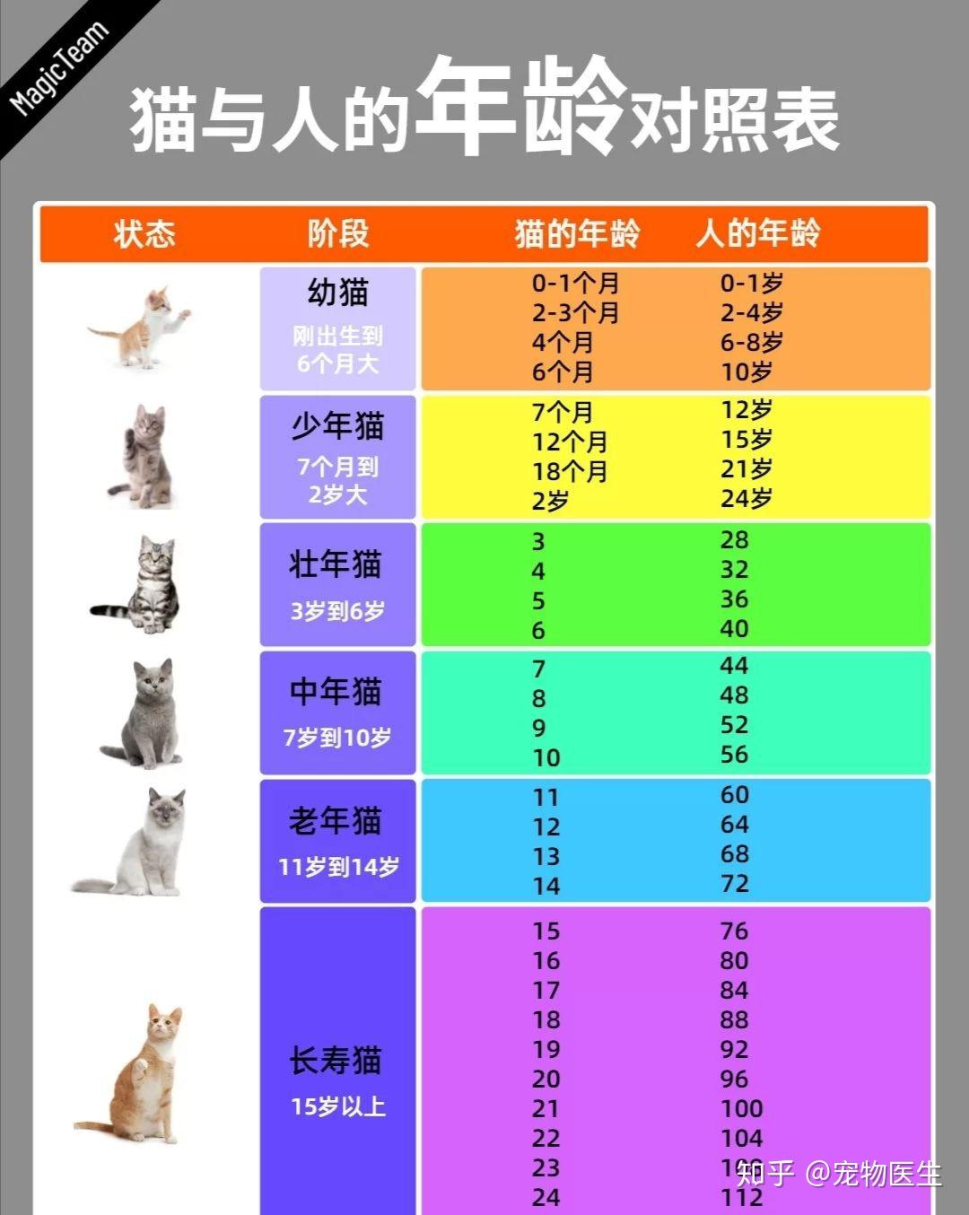 v2-dbac6fb83bad841d34e3dc6f83c64845_r.jpg
