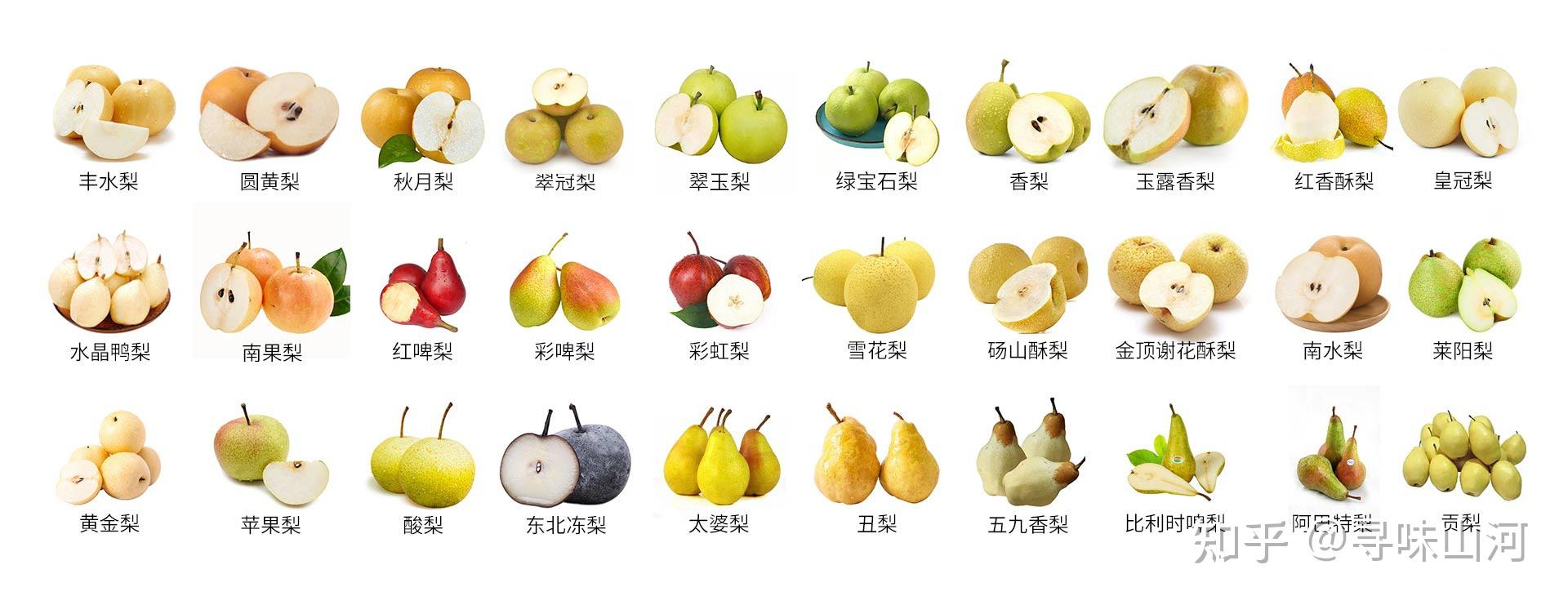 梨合集|常见30种梨的区别及口感