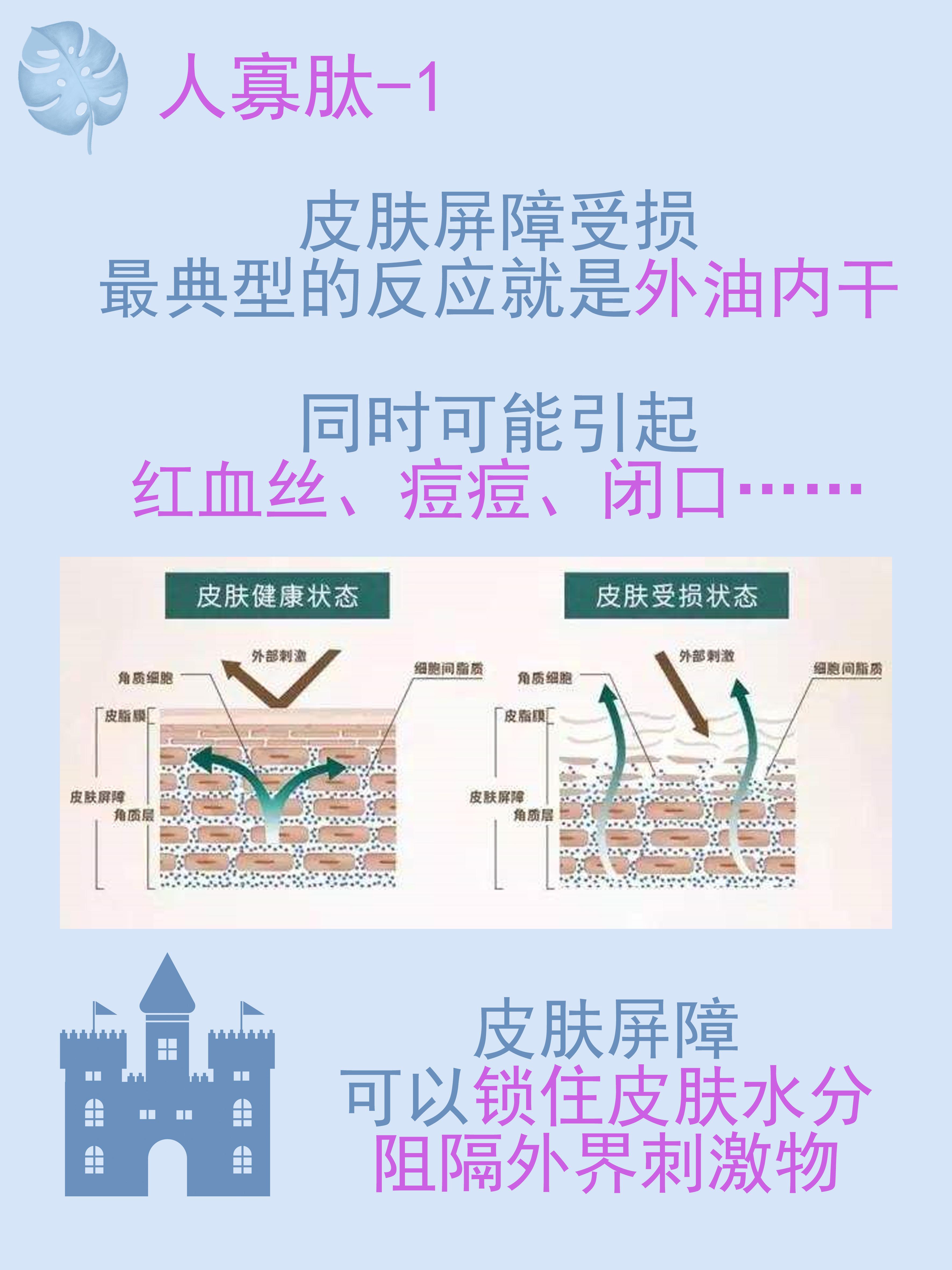 護膚成分能修復皮膚屏障的人寡肽1