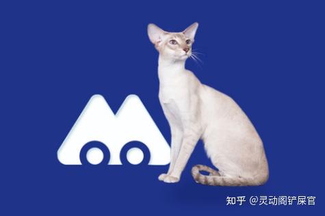 猫为什么会吐_猫吐了黄黄粘稠液体_猫为什么不吃东西
