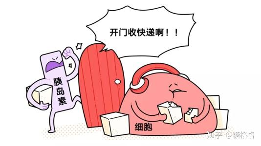糖尿病“三多一少”症状是怎么来的? - 知乎