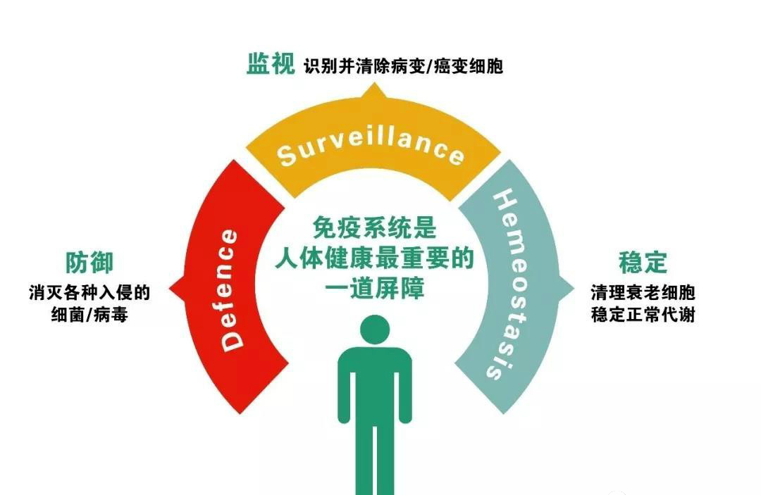 前景可觀丨msc在80多種自身免疫性疾病方面大有可為