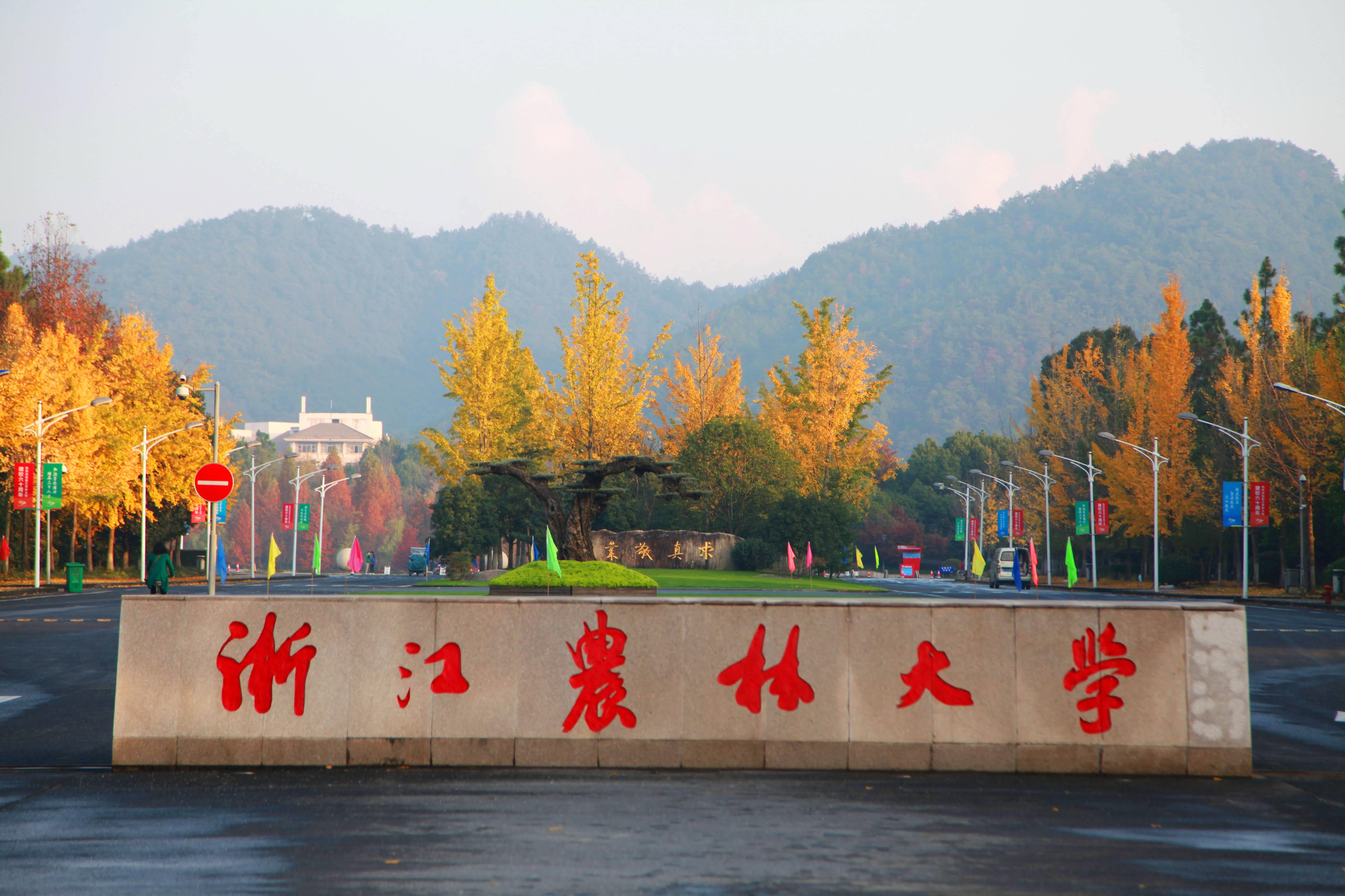 浙江农林大学小姆苟呢图片