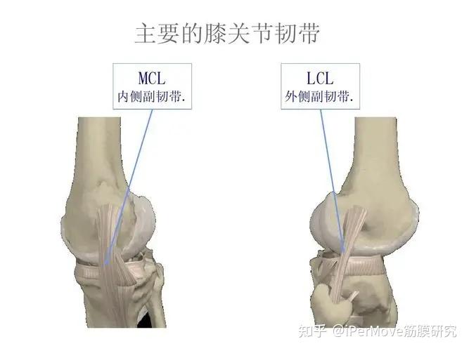 韧带拉伤该如何处理,该冷敷还是热敷? - 知乎