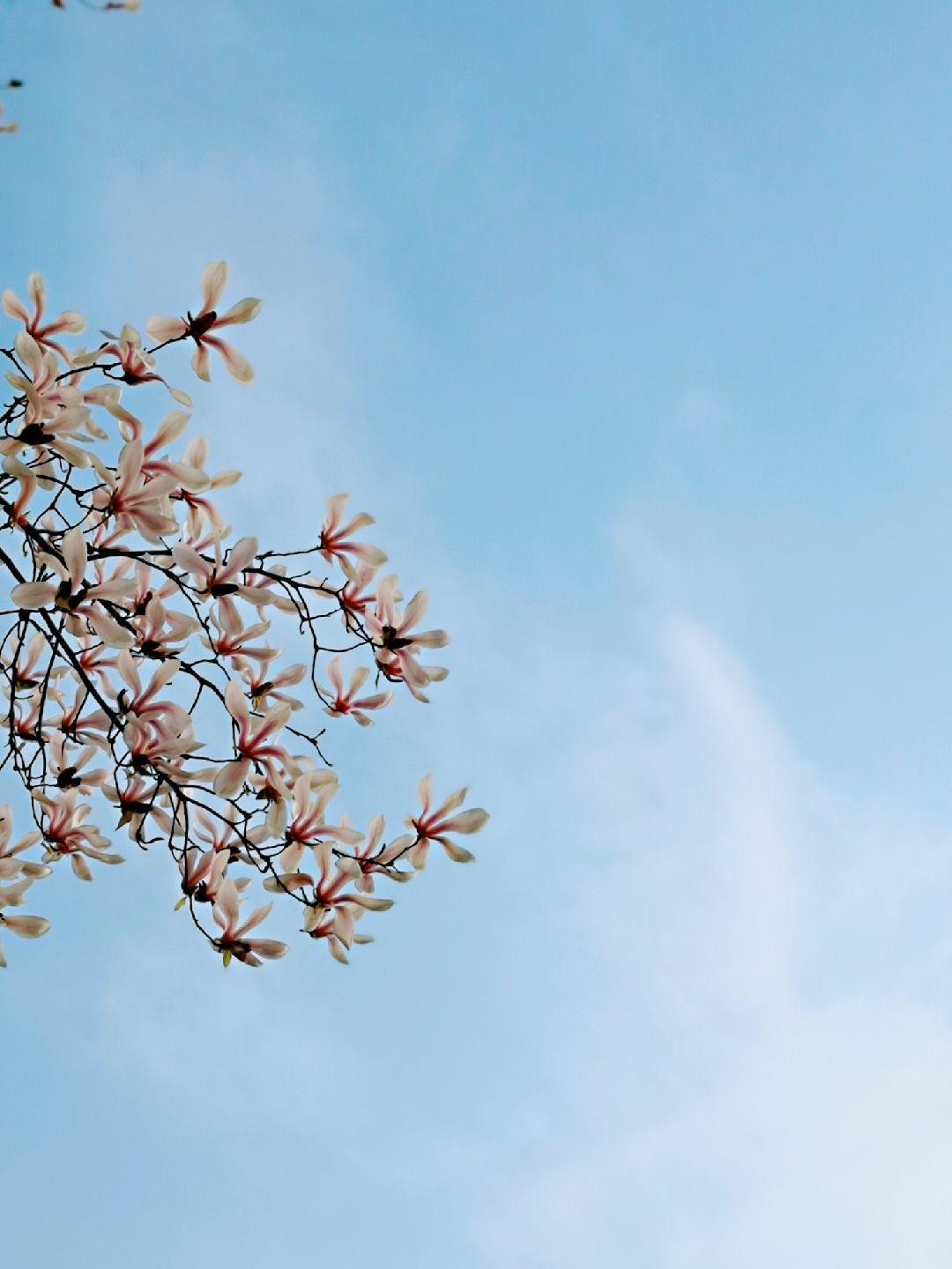 有什么一看就心情超好的图片