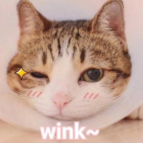 高一 知乎