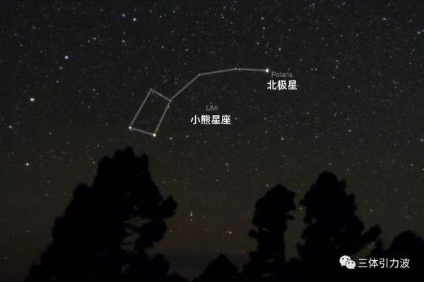 小熊星座 大熊星座 北极星 北斗七星 到底啥关系 知乎