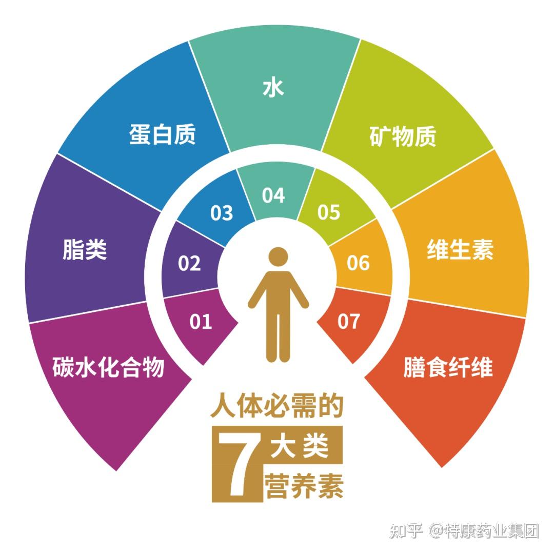 【特康药业】不能直接利用,但人体必需的"第七大营养素"——膳食纤维
