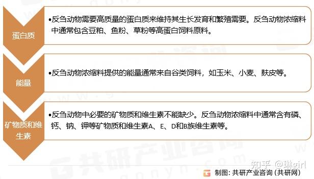 中国反刍动物浓缩料行业市场现状分析及市场前景评估报告 - 知乎