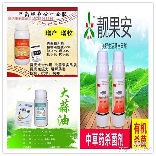 樱桃萌芽前后要注意