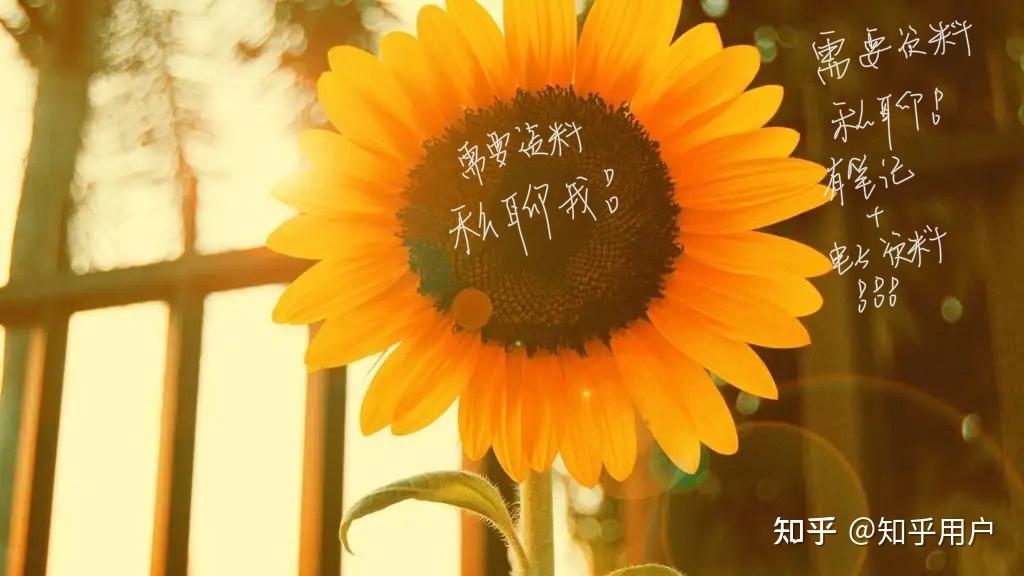 重庆工商大学新传考研复试名单及安排公布，学硕专硕复试线一览