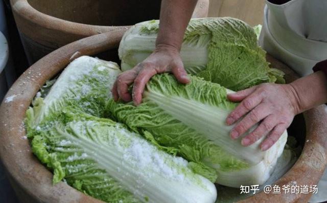 东北有桌饺？ - 知乎