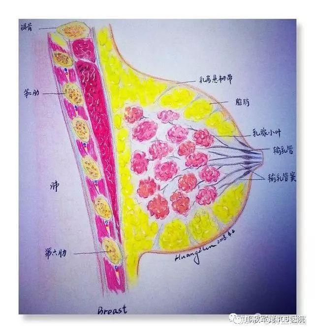 这篇文章有点黄
