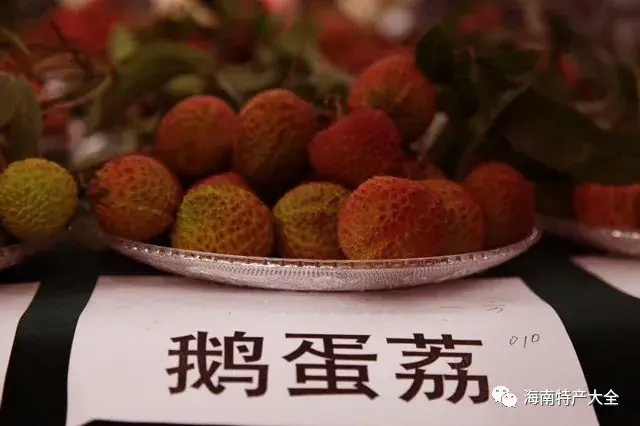 国内常见的超大荔枝品种介绍你都吃过哪些