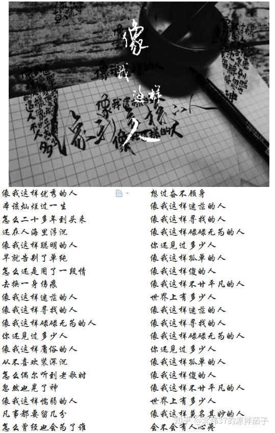 还在人海里浮沉怎么二十多年到头来本该灿烂过一生像我这样优秀的人