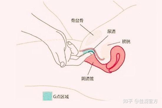 关于夫妻"为爱鼓掌",你是不是也存在这样的误解? - 知乎